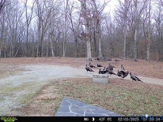 5300 Cartersville Road, Powhatan, VA 23139 5300 Cartersville Road, Powhatan, VA 23139