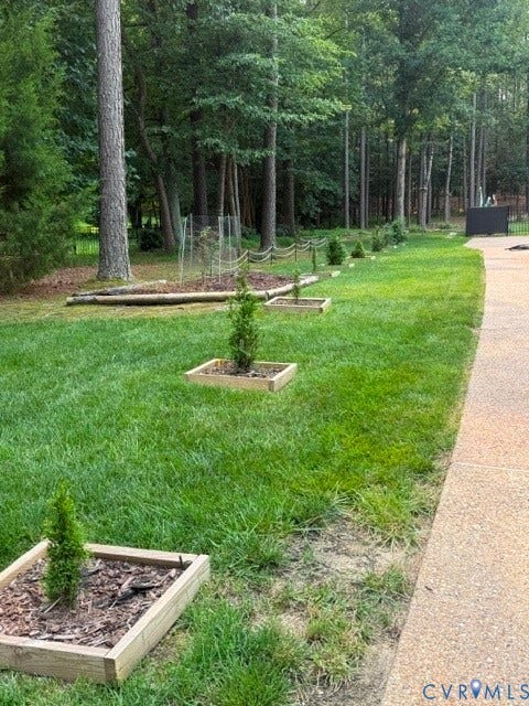 12124 Glen Kilchurn Drive, Chesterfield, VA 23838 Expansive green lawn bordered by a concrete patio and a natural tree line