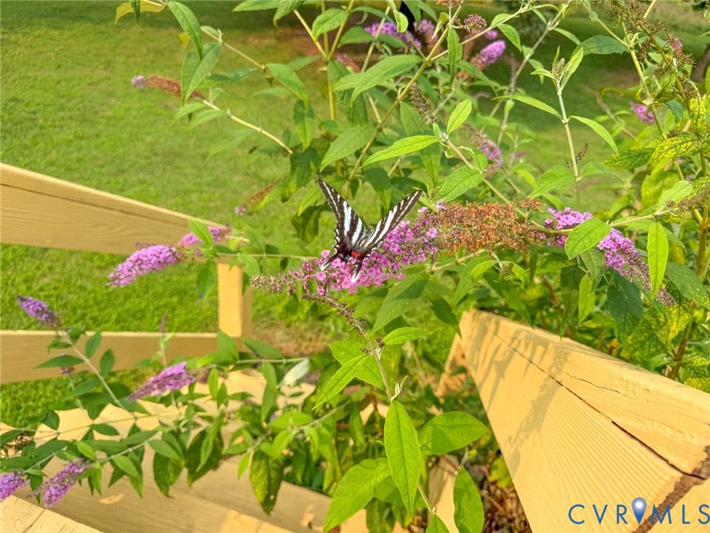 6688 Old Buckingham Road, Powhatan, VA 23139 Lush green foliage with purple blooms, bordered by a light-colored wooden railing