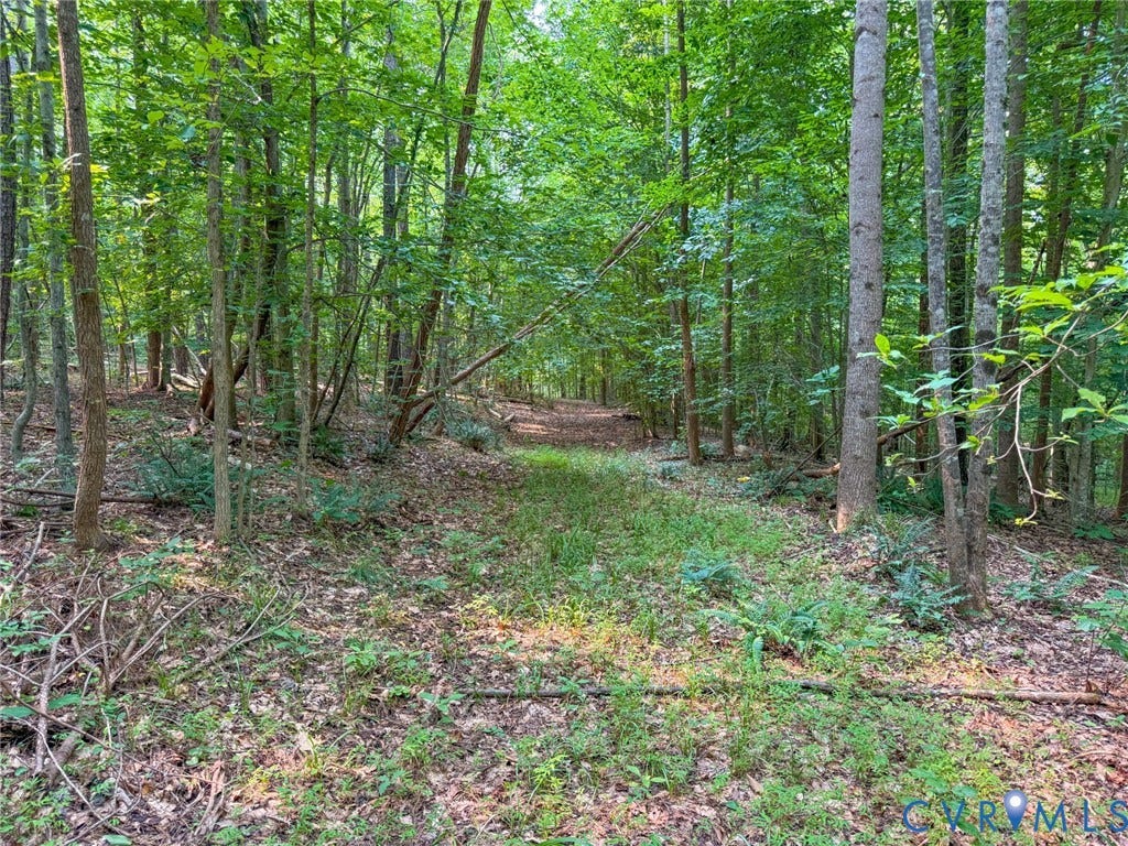 6688 Old Buckingham Road, Powhatan, VA 23139 Wooded parcel featuring a cleared path, mature deciduous trees, natural ground cover, and dappled sunlight