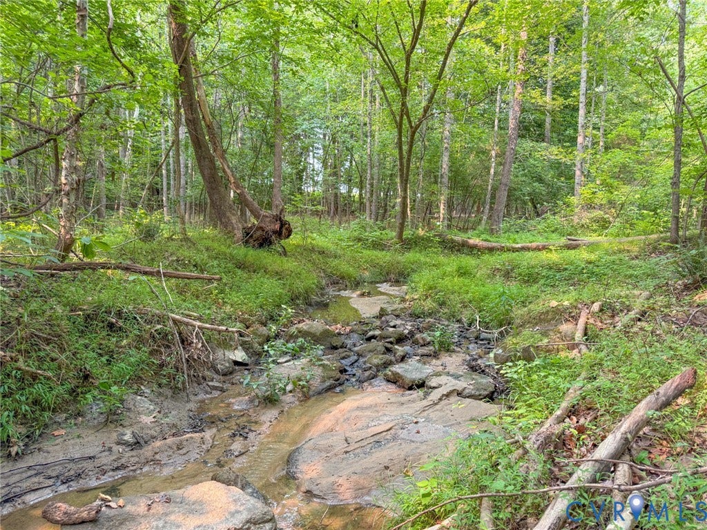 6688 Old Buckingham Road, Powhatan, VA 23139 Wooded lot featuring a natural stream with rock formations, surrounded by lush green foliage and mature trees