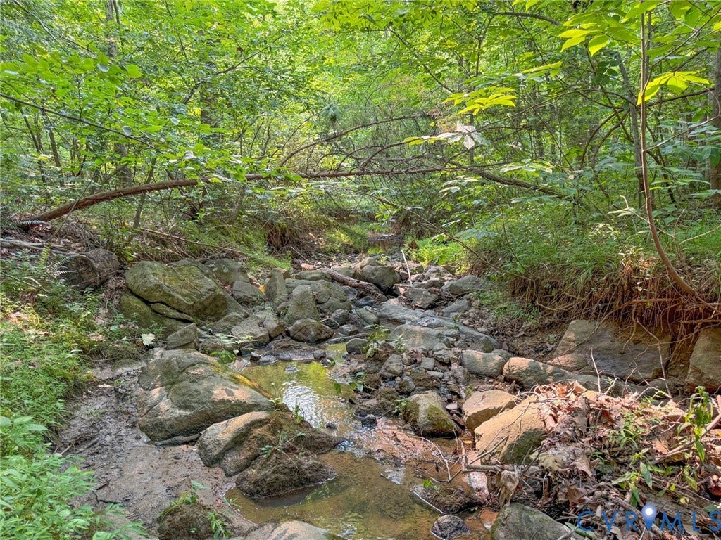 6688 Old Buckingham Road, Powhatan, VA 23139 Wooded natural setting featuring a rocky creek bed and mature trees