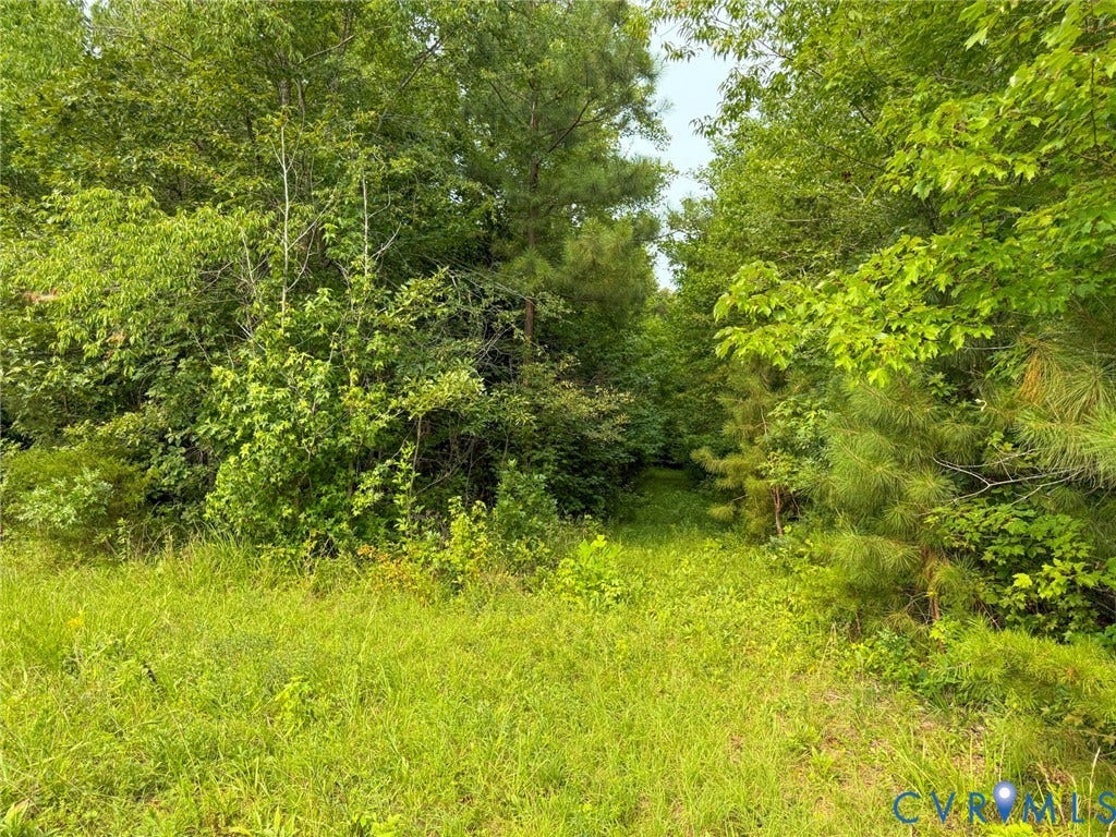 6688 Old Buckingham Road, Powhatan, VA 23139 Expansive natural landscape featuring dense tree coverage and abundant ground foliage