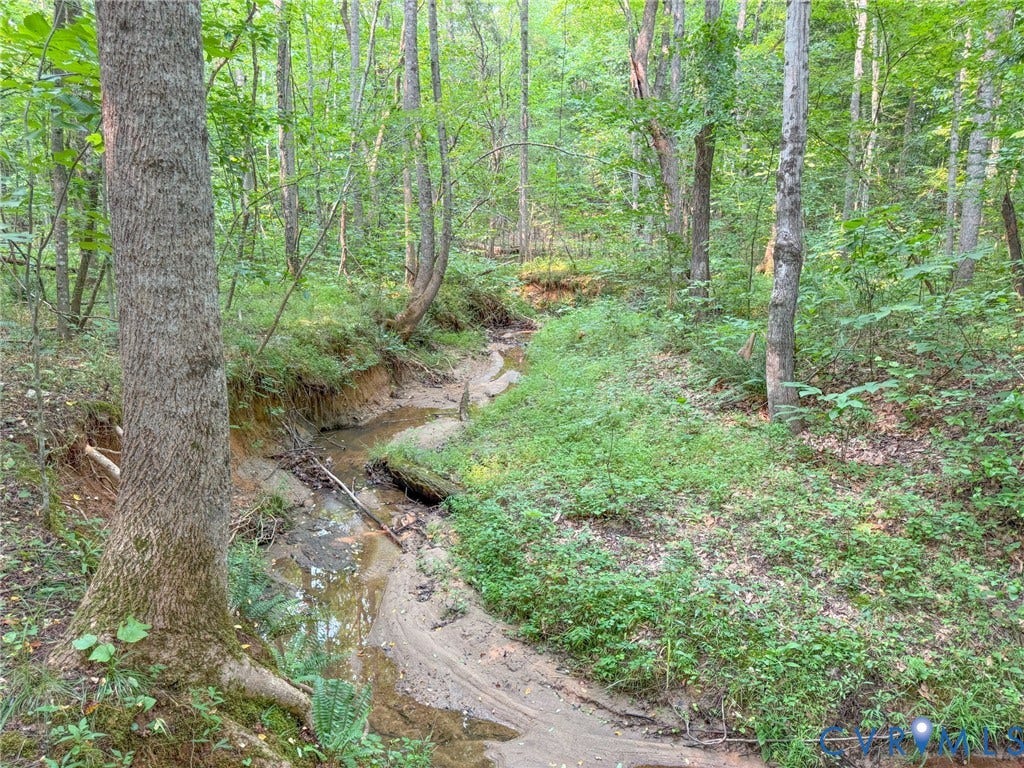 6688 Old Buckingham Road, Powhatan, VA 23139 Wooded terrain featuring a natural stream bed, abundant mature trees, and dense ground cover