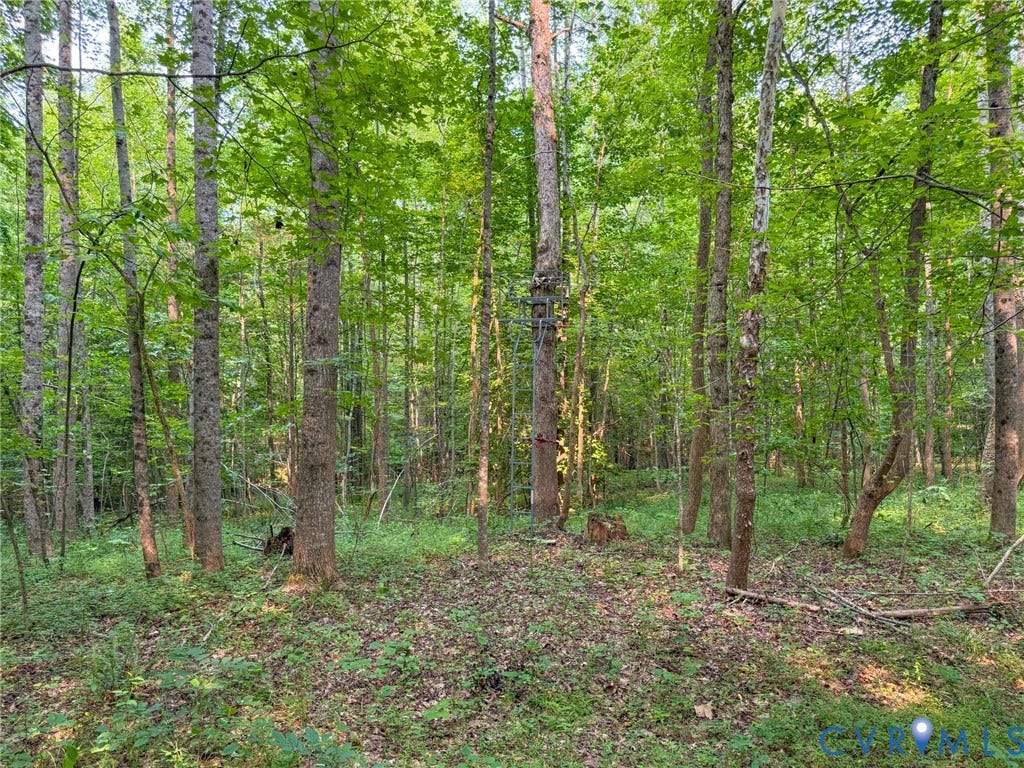 6688 Old Buckingham Road, Powhatan, VA 23139 Mature trees and lush undergrowth define this wooded property