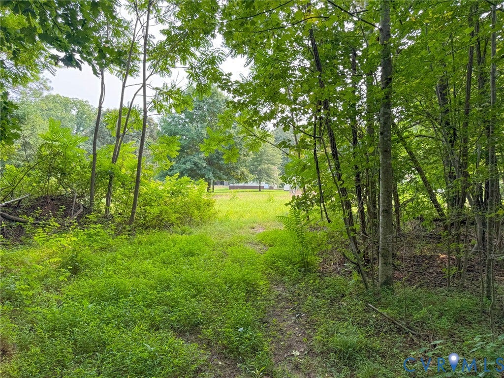 6688 Old Buckingham Road, Powhatan, VA 23139 Wooded property featuring a cleared path leading to an open grassy area