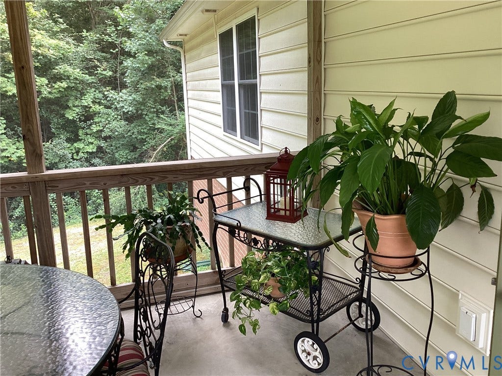 11611 Hillside Road, Chester, VA 23831 Great area for plant hobby on screened rear porch