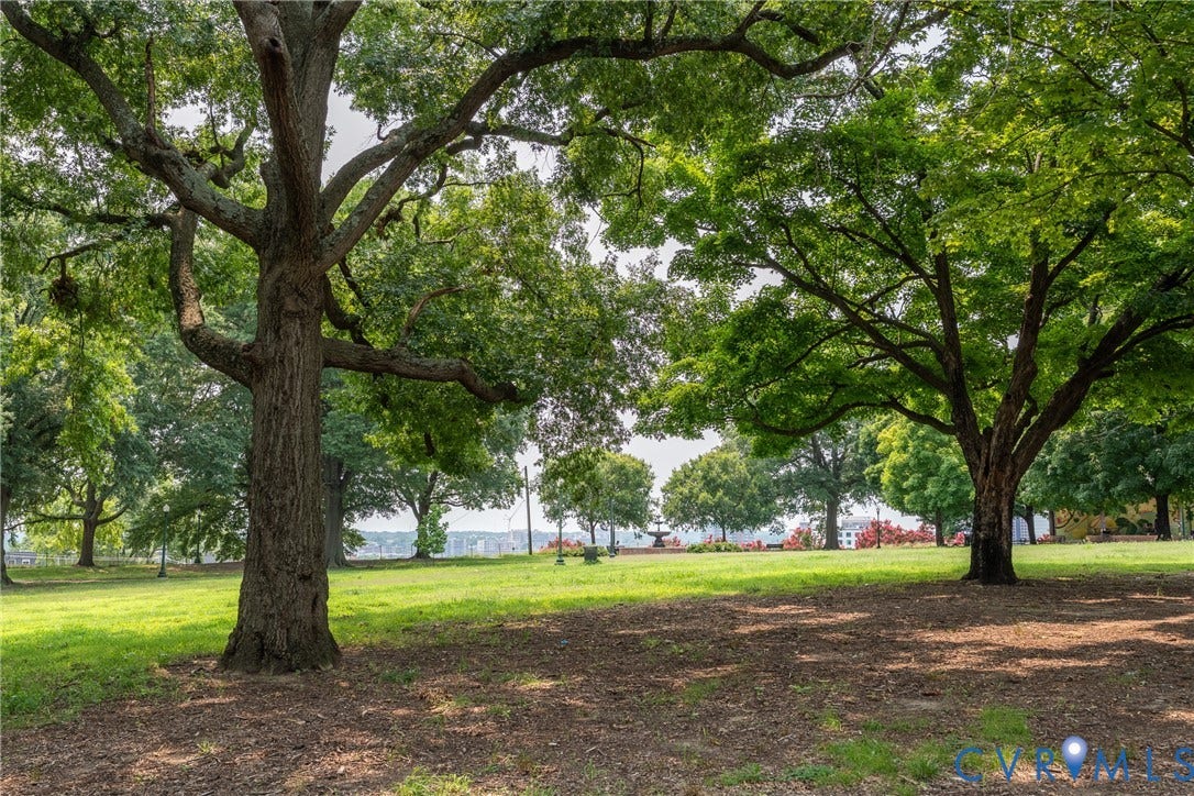 2016 Princess Anne Avenue, Union Hill, Richmond, VA 23223 Across the street- Jefferson Park