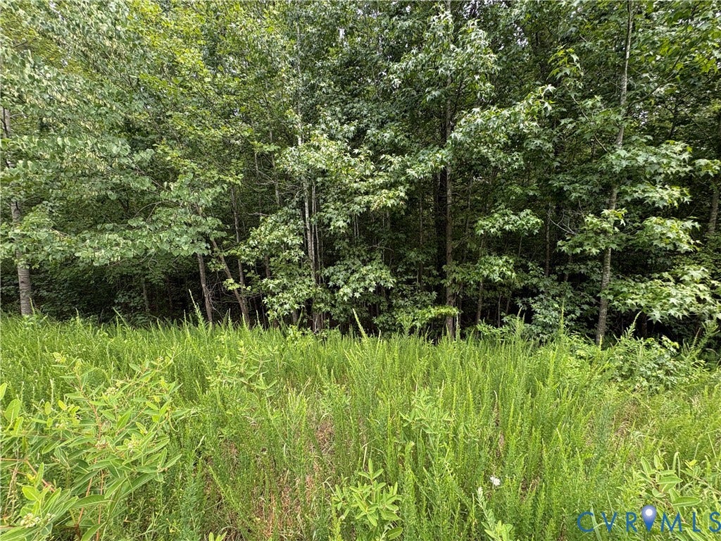 Lot 4 Plum Tree Estates, Plum Tree Estates, Louisa, VA 23024 Lot 4 Plum Tree Estates, Plum Tree Estates, Louisa, VA 23024