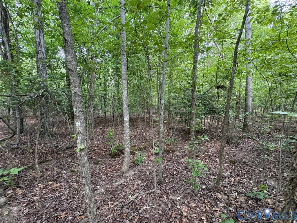 Lot 4 Plum Tree Estates, Plum Tree Estates, Louisa, VA 23024 Lot 4 Plum Tree Estates, Plum Tree Estates, Louisa, VA 23024