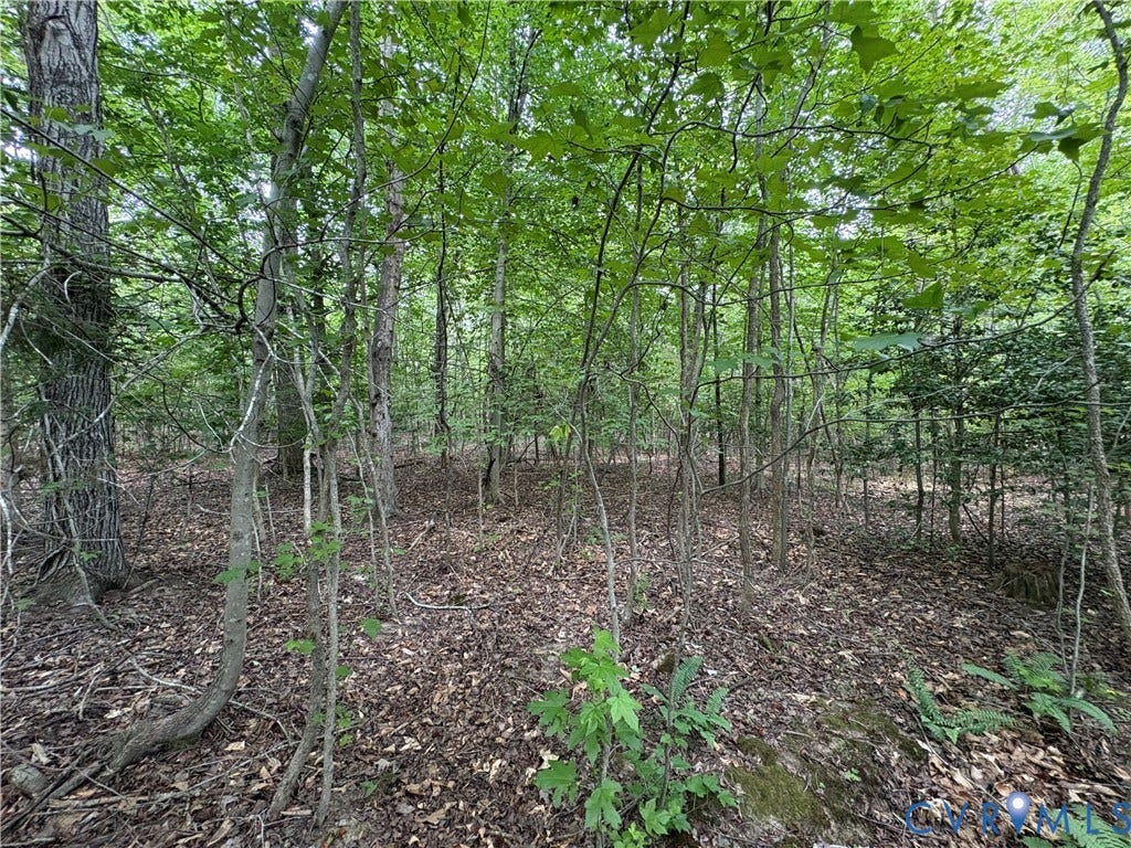 Lot 4 Plum Tree Estates, Plum Tree Estates, Louisa, VA 23024 Lot 4 Plum Tree Estates, Plum Tree Estates, Louisa, VA 23024