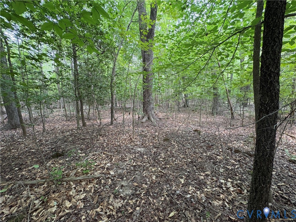 Lot 4 Plum Tree Estates, Plum Tree Estates, Louisa, VA 23024 Lot 4 Plum Tree Estates, Plum Tree Estates, Louisa, VA 23024