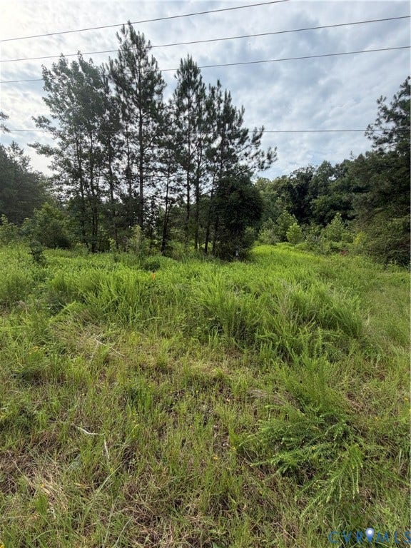 Property photo for tbd lot 1 Rolfe Highway, Dendron, VA