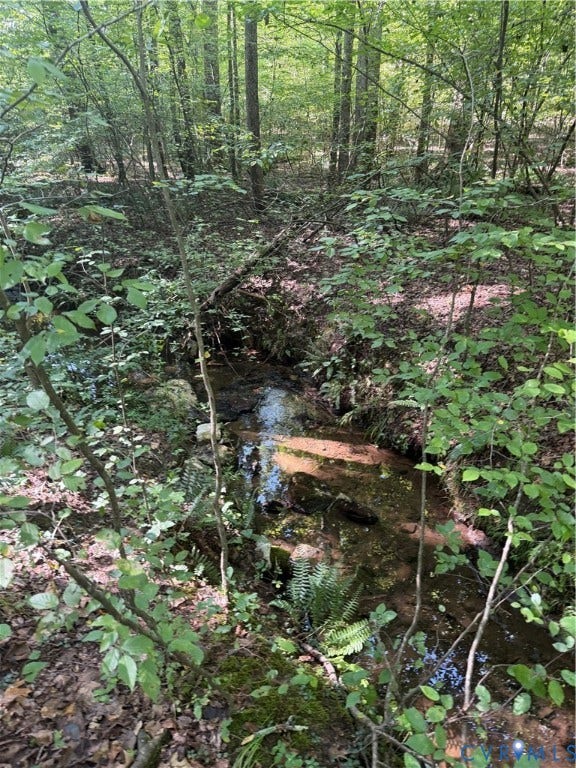 2274 Barley Farms Ln, Powhatan, VA 23139 creek