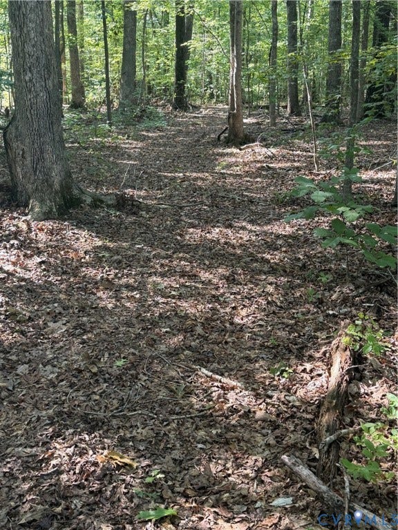 2274 Barley Farms Ln, Powhatan, VA 23139 trails on the property