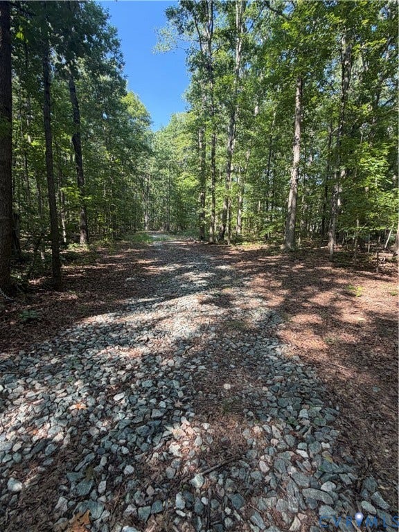 2274 Barley Farms Ln, Powhatan, VA 23139 gravel drive