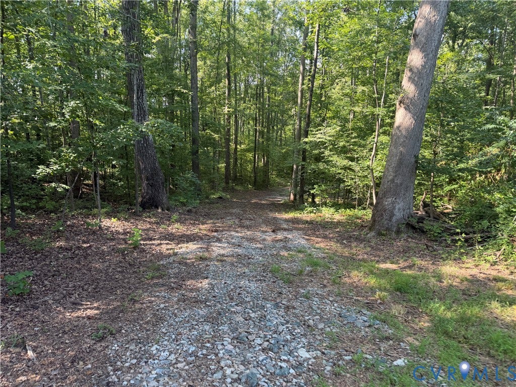 2274 Barley Farms Ln, Powhatan, VA 23139 drive to shed and creek