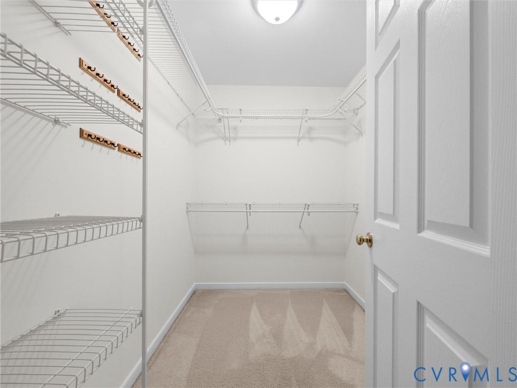 6100 Lilting Branch Way, Moseley, VA 23120 Walk-in closet featuring wire shelving, wall-mounted wooden hook racks, carpeted flooring, and a flush mount ceiling light