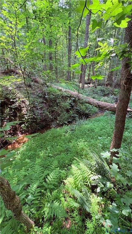 000 Old Buckingham Road, Powhatan, VA 23139 Forested landscape featuring dense, verdant foliage