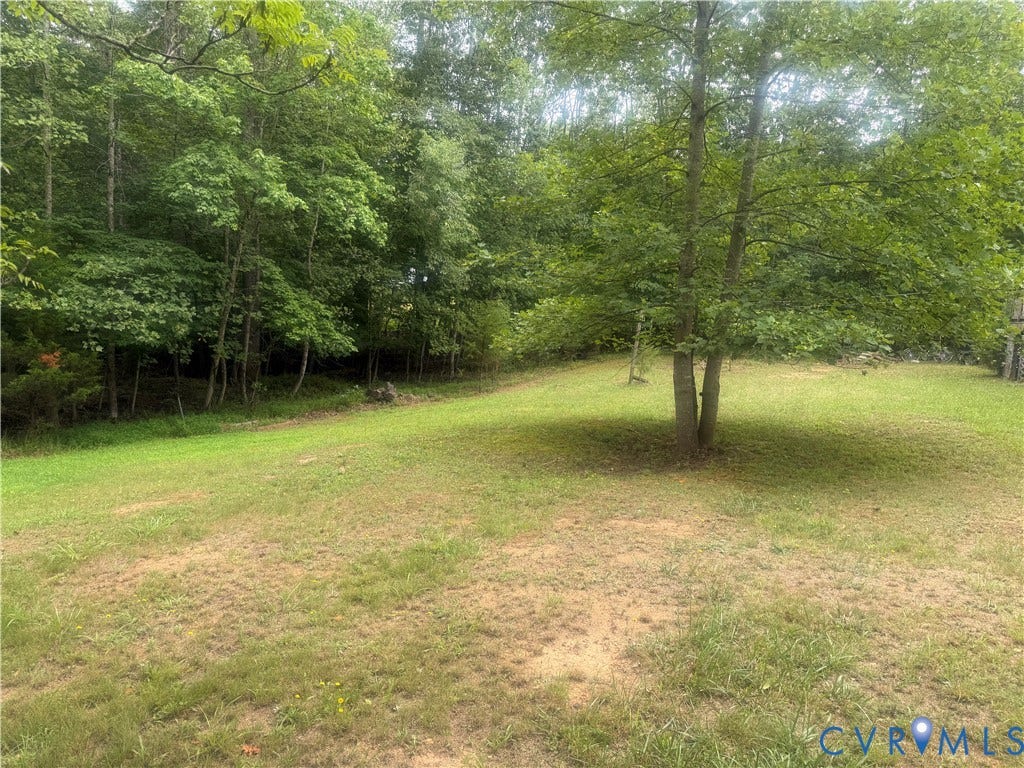 652 Mallorys Ford Road, Cool Springs, Louisa, VA 23093 Expansive grassy area with mature trees and a dense woodland border