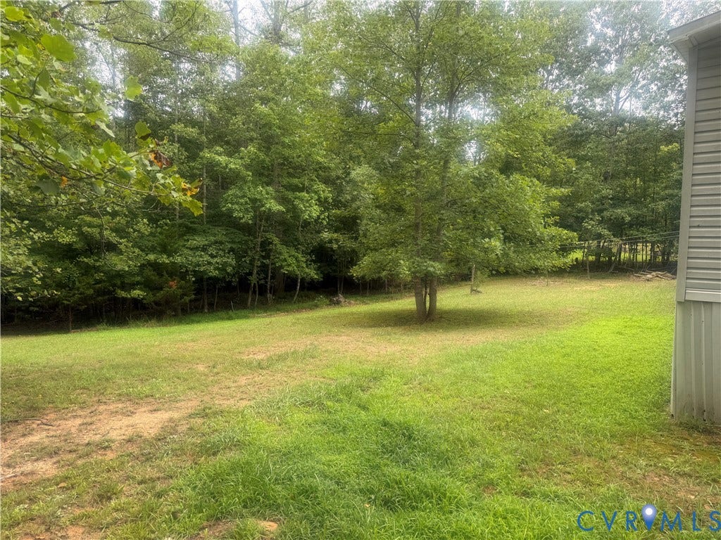 652 Mallorys Ford Road, Cool Springs, Louisa, VA 23093 Expansive grassy yard with mature trees and dense natural foliage bordering the property