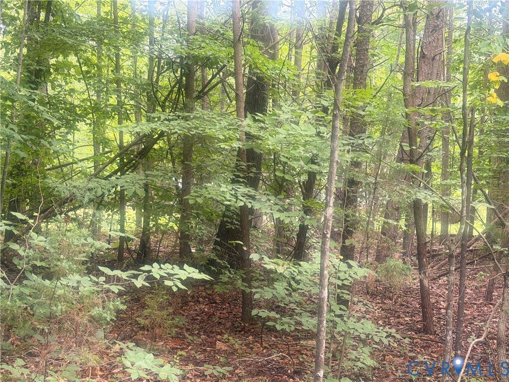 652 Mallorys Ford Road, Cool Springs, Louisa, VA 23093 Wooded lot with mature trees and natural foliage