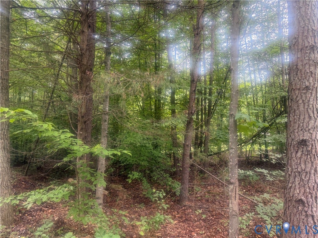 652 Mallorys Ford Road, Cool Springs, Louisa, VA 23093 Wooded landscape featuring mature trees and natural ground cover