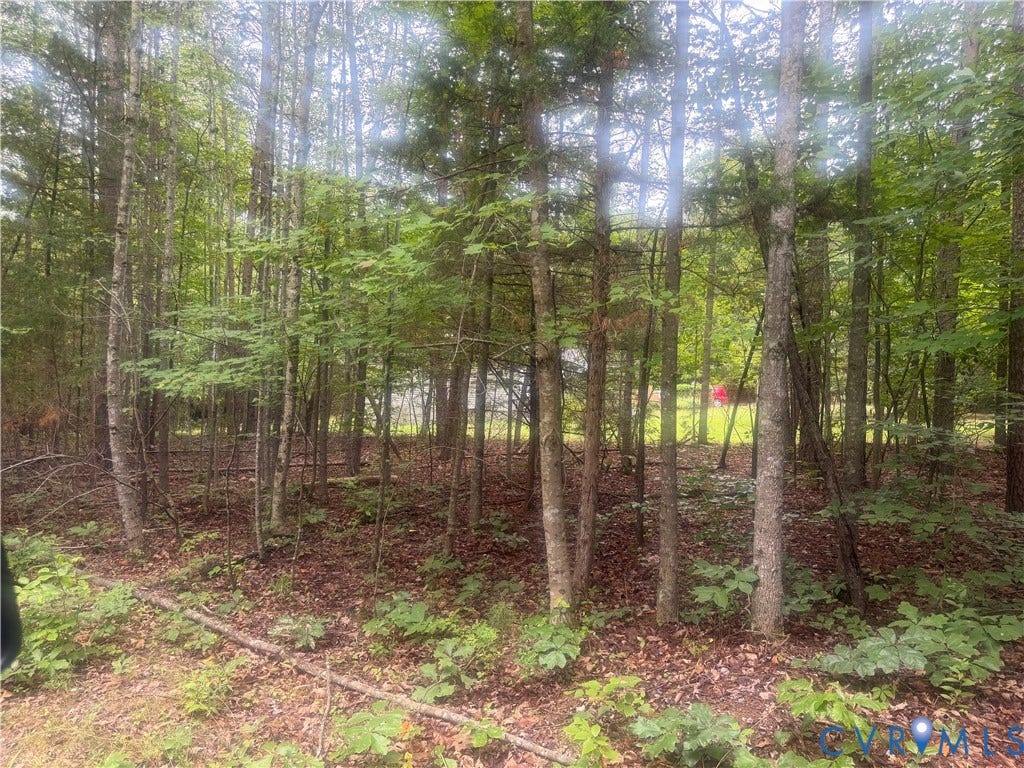 652 Mallorys Ford Road, Cool Springs, Louisa, VA 23093 Wooded lot with abundant mature trees and natural ground cover