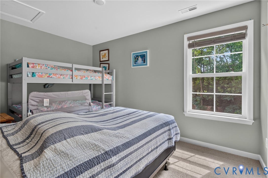 311 Cardinal Road, Countryside, Louisa, VA 23093 Bedroom featuring neutral gray walls, light carpet flooring, a double-hung window with privacy blinds, and a ceiling-mounted light fixture