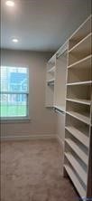 10419 Centralia Station Road, Chester, VA 23831 walk-in primary bedroom