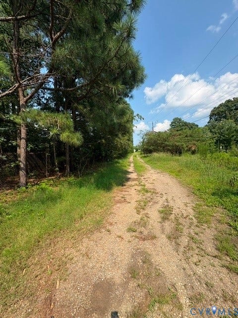 Gravel pathway bordered by mature trees and natural landscaping