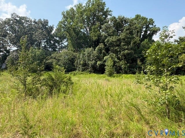 Expansive parcel featuring mature trees, diverse vegetation, and natural landscaping