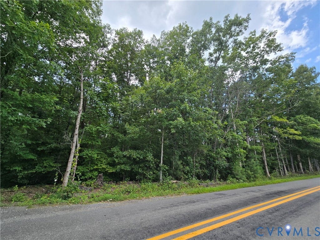 000 Yanceyville Road, Louisa, VA 23093 Roadside parcel featuring mature deciduous trees and natural ground cover