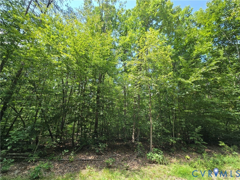 000 Yanceyville Road, Louisa, VA 23093 Wooded lot featuring mature trees and natural ground cover
