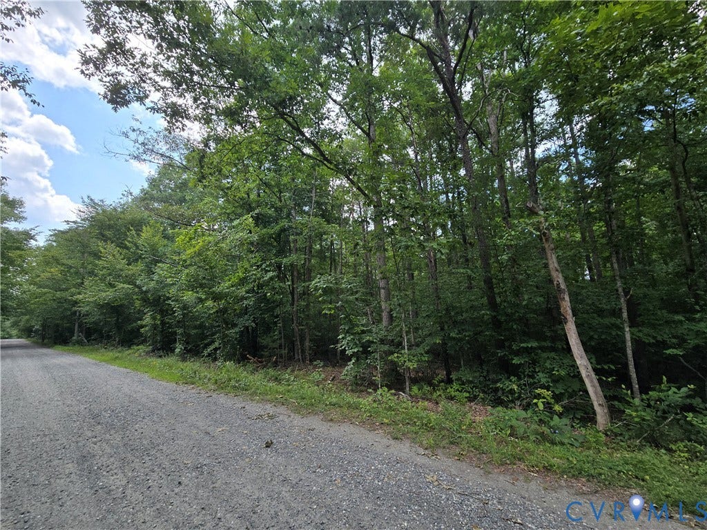 000 Abb Morris Road, Louisa, VA 23093 Gravel road bordering a dense forest of mature deciduous trees under a partially clouded sky