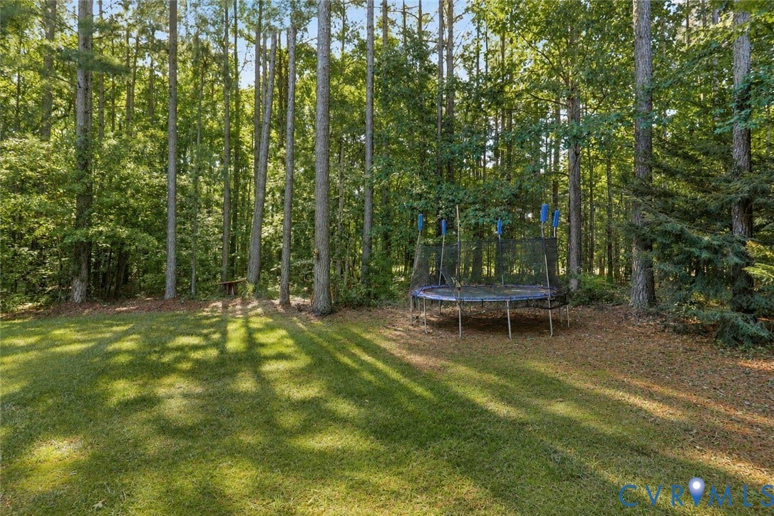 7618 Hampton Green Drive, Chesterfield, VA 23832 Grassed yard with mature trees and dense foliage