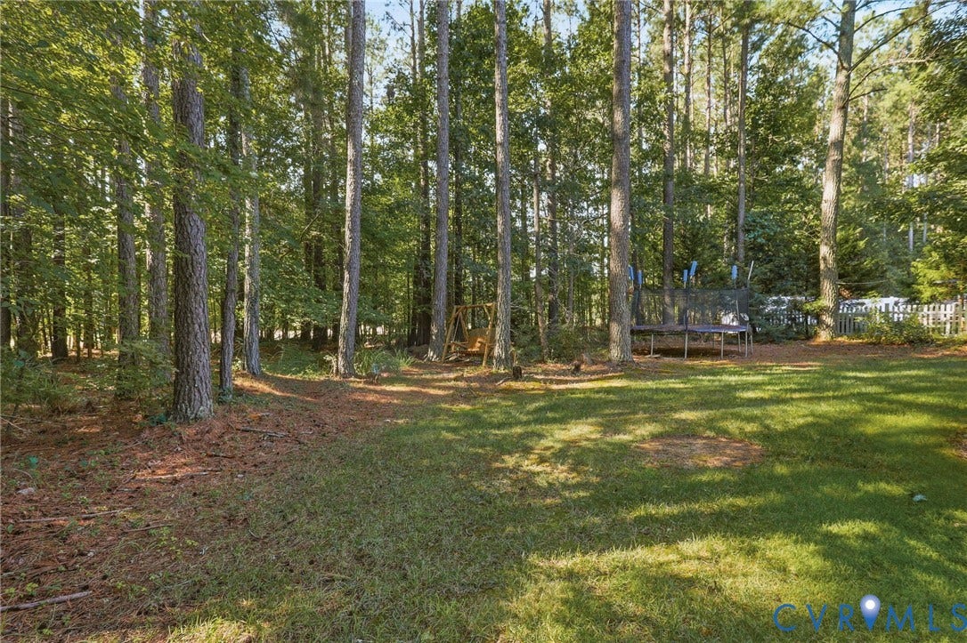 7618 Hampton Green Drive, Chesterfield, VA 23832 Large private rear yard