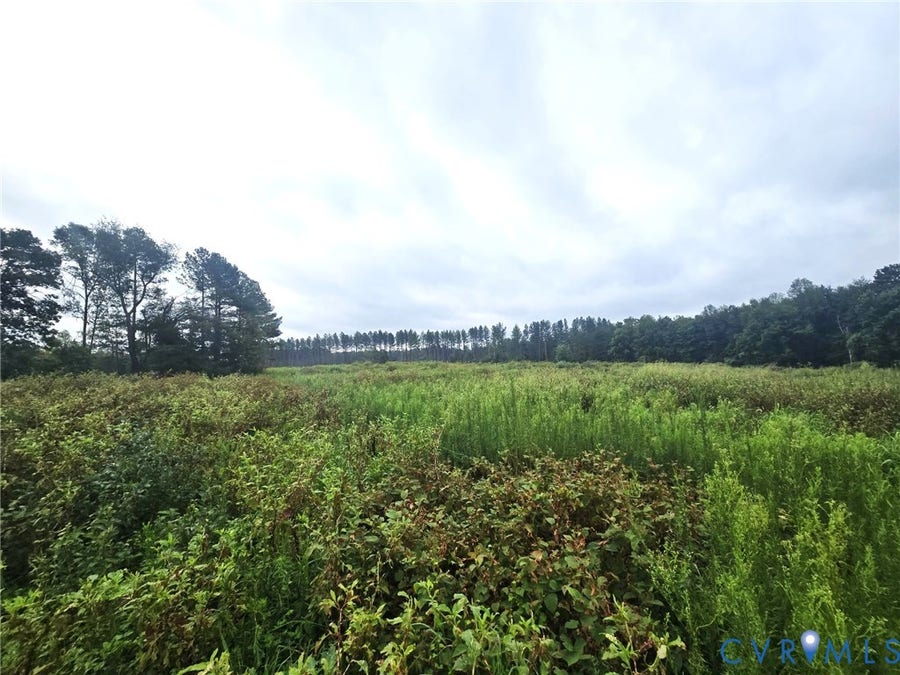 Property photo for tbd Fredericks Hall Road, Mineral, VA