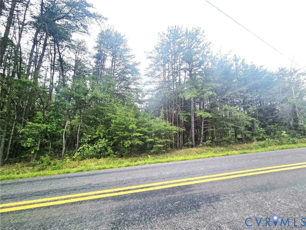 TBD Fredericks Hall Road, Mineral, VA 23117 Wooded lot featuring mature trees and lush undergrowth