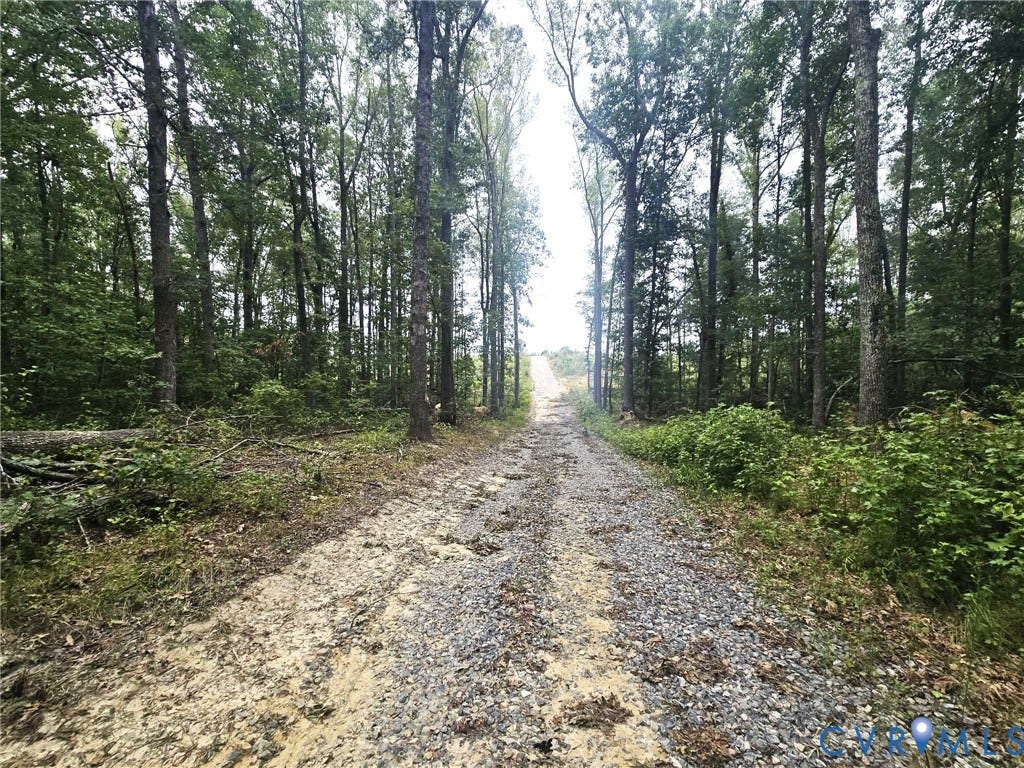 TBD Fredericks Hall Road, Mineral, VA 23117 Gravel path extending through a forested landscape