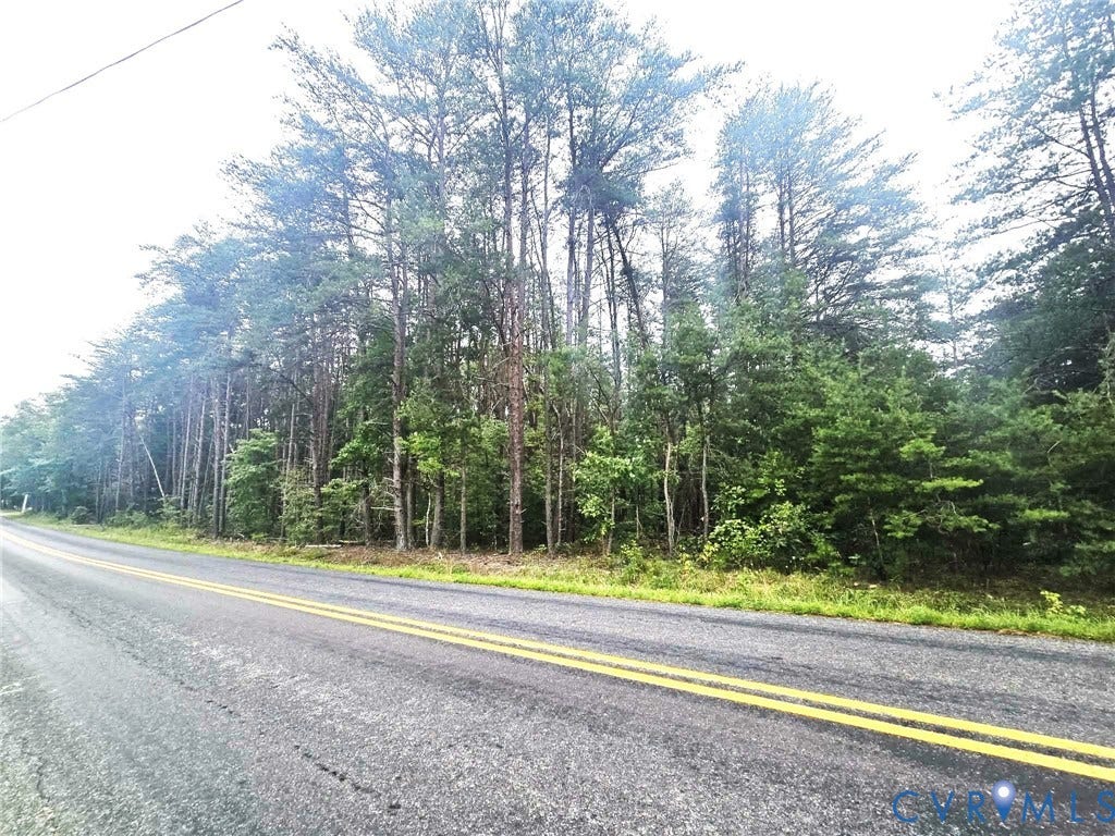 TBD Fredericks Hall Road, Mineral, VA 23117 Wooded acreage featuring a variety of mature and young trees