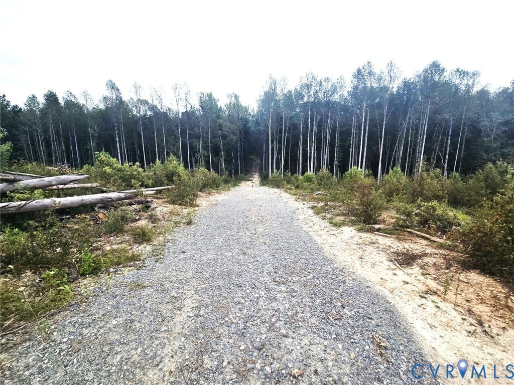 TBD Fredericks Hall Road, Mineral, VA 23117 Gravel path bordered by natural foliage and mature trees
