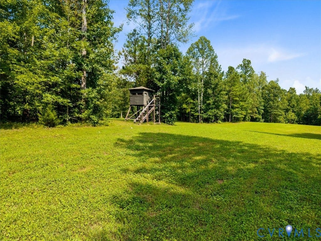 Expansive green acreage featuring a wooded perimeter and a rustic elevated structure
