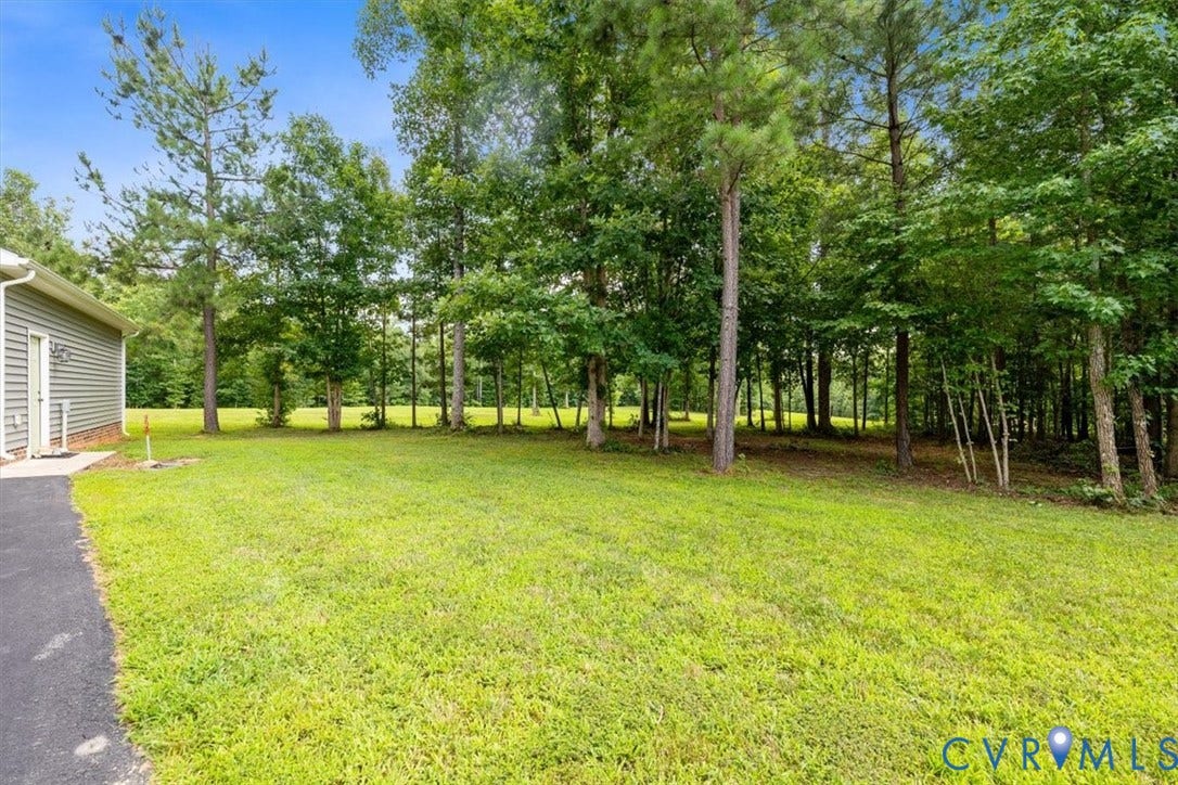 Expansive green lawn with mature trees and dense natural foliage, complemented by a paved driveway and neutral-toned siding