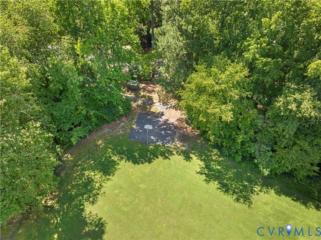 Lush grounds featuring mature tree canopy, natural creek, and expansive lawn with verdant landscaping throughout the property