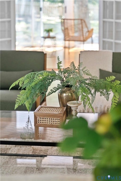 Bright, light-filled living space featuring expansive windows with natural light, a neutral color palette, and verdant indoor plants