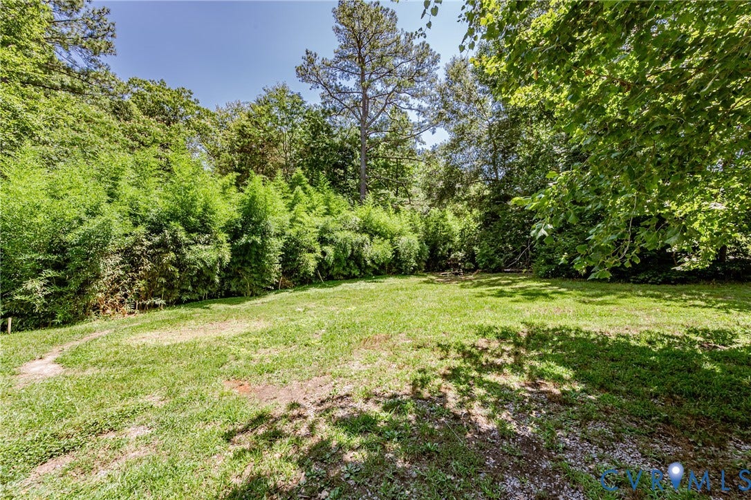 Expansive lot featuring a green lawn, mature trees, dense bamboo foliage, and dappled sunlight