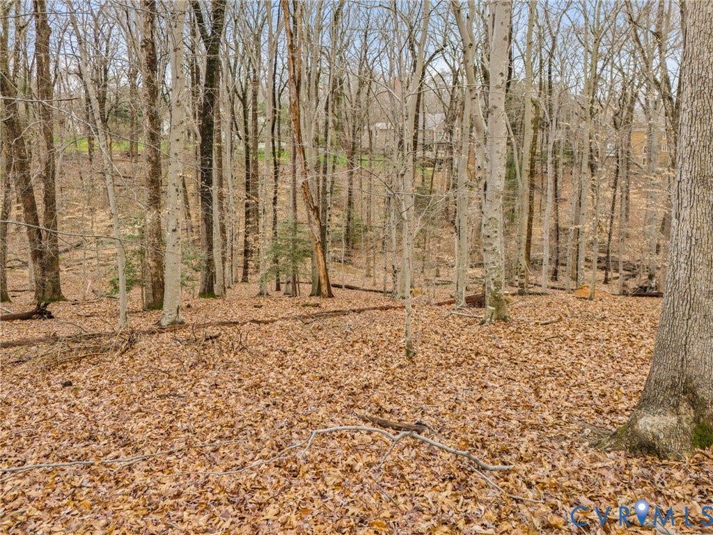Wooded lot with mature trees and natural ground cover