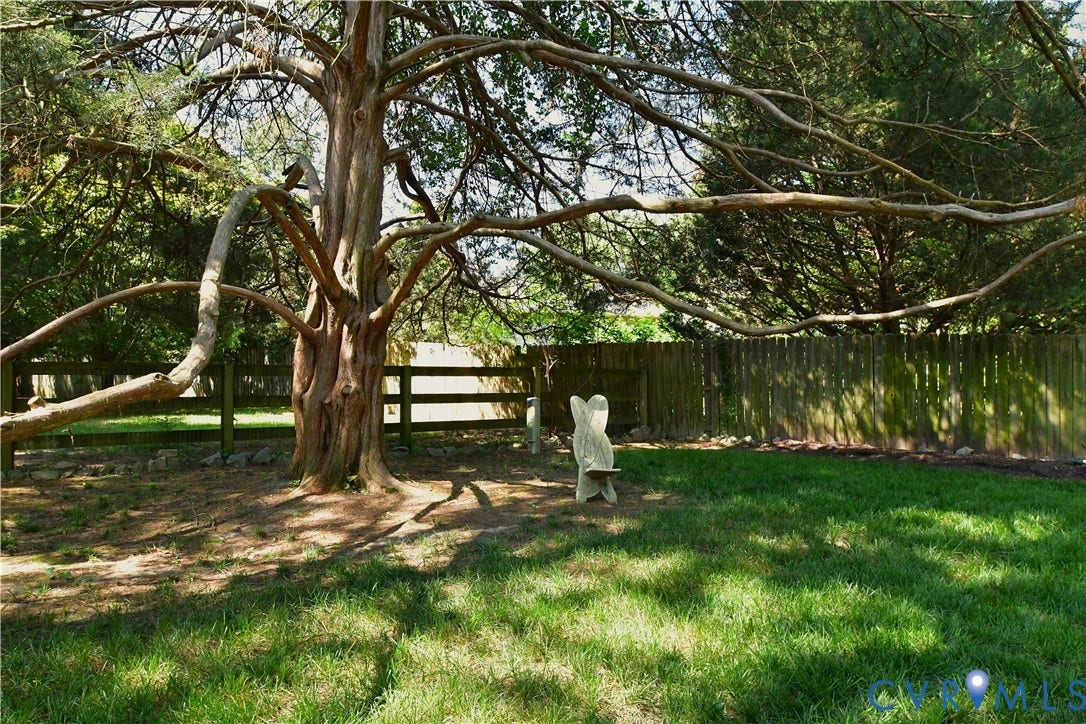 This tree is a conversation piece! Oh the stories this tree could tell