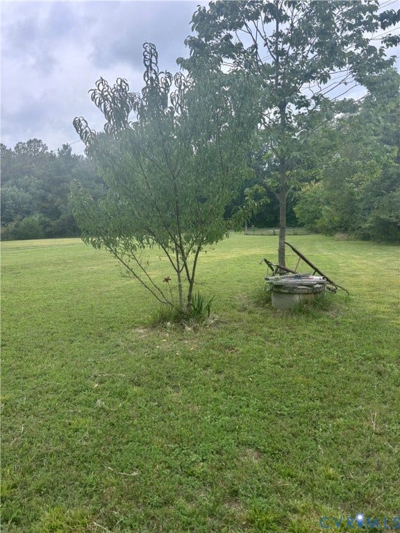727 Frenchs Store Road, French's Store, Cumberland, VA 23040 Expansive green lawn with mature trees and dense foliage lining the perimeter